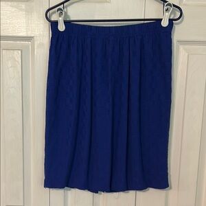Elegant Blue Women's Skirt
